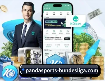 熊猫体育世界杯入口 APP 深度功能