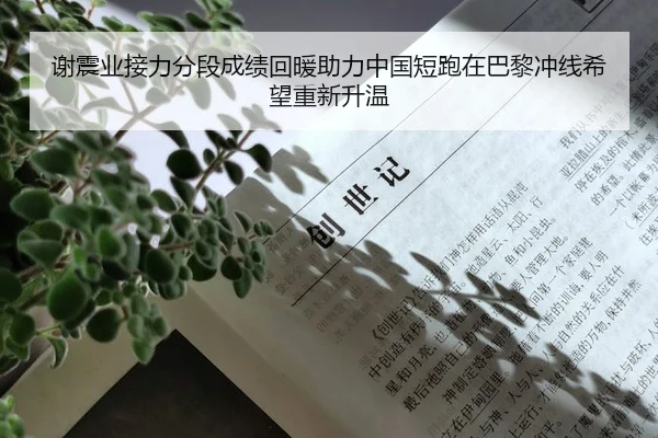 谢震业接力分段成绩回暖助力中国短跑在巴黎冲线希望重新升温