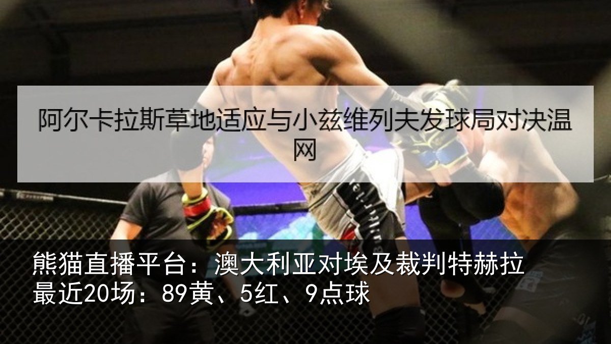 熊猫直播平台：澳大利亚对埃及裁判特赫拉最近20场：89黄、5红、9点球