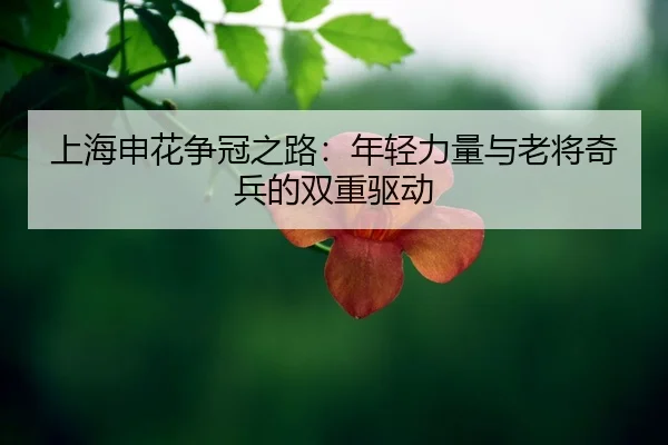 shang-hai-shen-hua-zheng-guan-zhi-lu-nian-qing-li-liang-yu-lao-jiang-qi-bing-de-shuang-chong-qu-dong-2-268.jpg