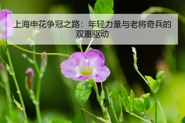 shang-hai-shen-hua-zheng-guan-zhi-lu-nian-qing-li-liang-yu-lao-jiang-qi-bing-de-shuang-chong-qu-dong-3-109.jpg