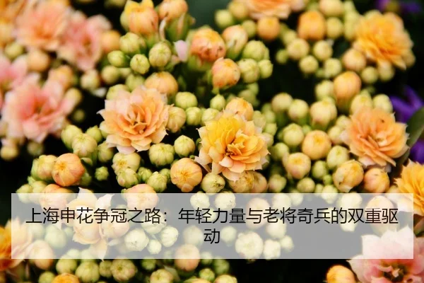上海申花争冠之路：年轻力量与老将奇兵的双重驱动