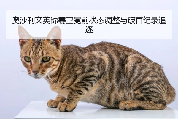 奥沙利文英锦赛卫冕前状态调整与破百纪录追逐