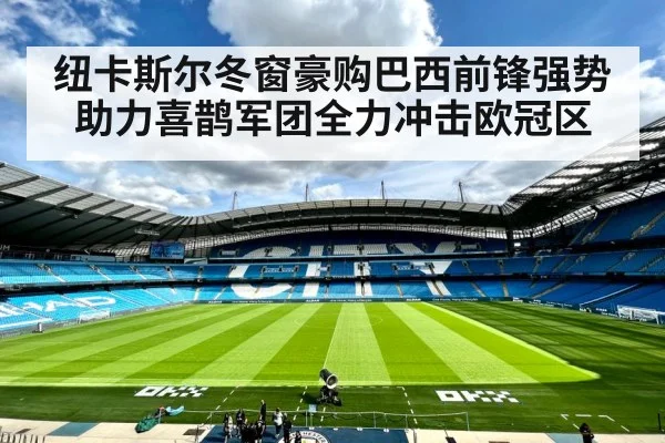 纽卡斯尔冬窗豪购巴西前锋强势助力喜鹊军团全力冲击欧冠区